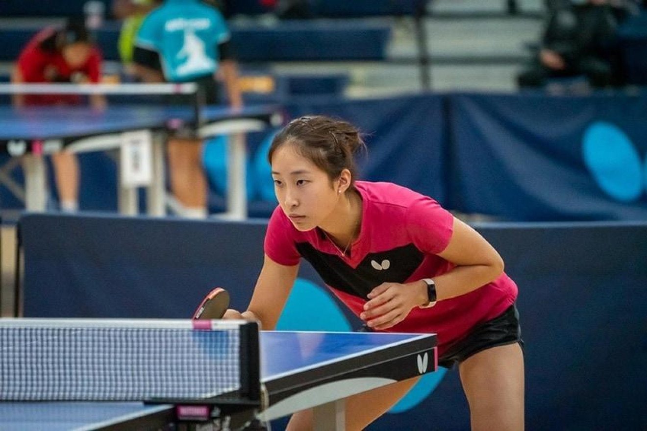 Discover the Perfect Ping Pong Table for Your Game