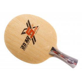 DHS Power G5X