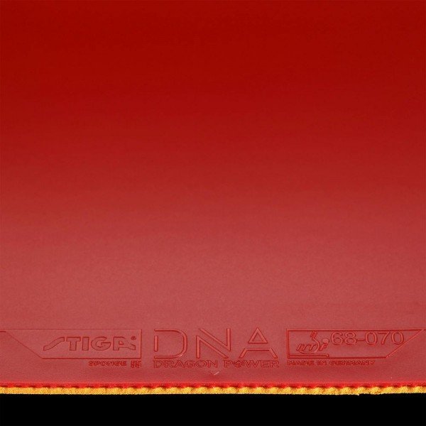 DNA Dragon Power 55