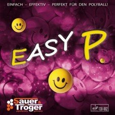 Sauer&Troger Easy P