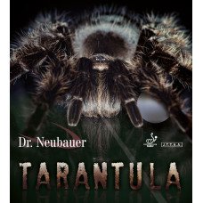 Dr.Neubauer Tarantula