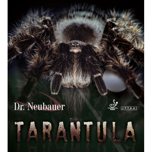 Dr.Neubauer Tarantula